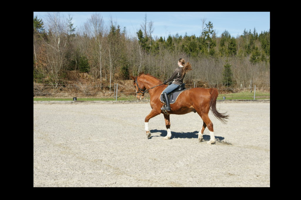 Amelie mit Vayos beim Training